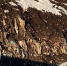 Экологический щит против мусора - Заневское городское поселение