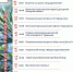 Холодный февраль в теплом кругу - Заневское городское поселение